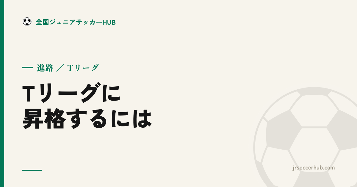 Tリーグに昇格するには？ ブロックリーグから1部までの上がり方